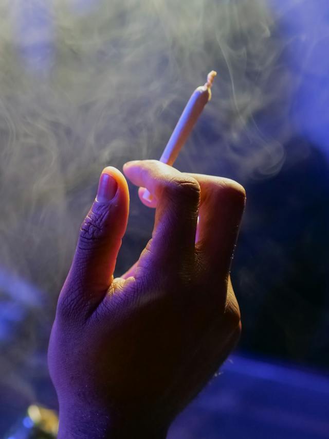 Indica contre Sativa : Comprendre les variétés de cannabis